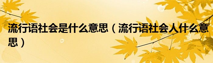 流行语社会是什么意思（流行语社会人什么意思）