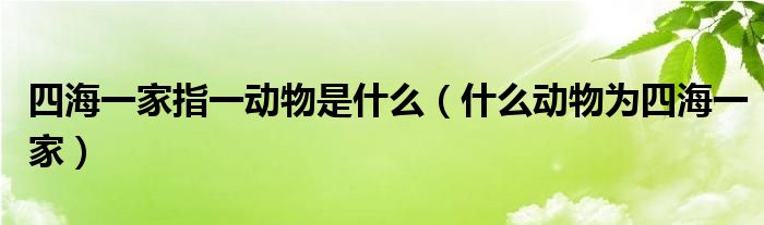 四海一家指一动物是什么（什么动物为四海一家）