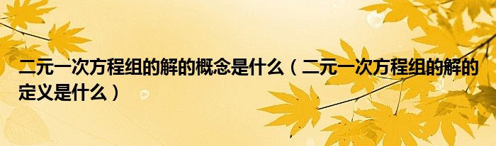 二元一次方程组的解的概念是什么（二元一次方程组的解的定义是什么）