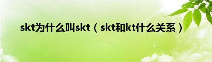 skt为什么叫skt（skt和kt什么关系）