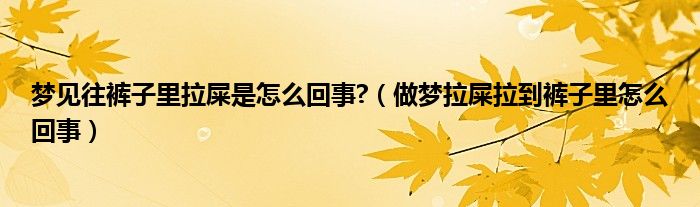 梦见往裤子里拉屎是怎么回事?（做梦拉屎拉到裤子里怎么回事）