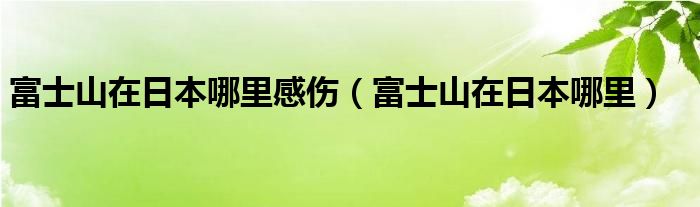 富士山在日本哪里感伤（富士山在日本哪里）