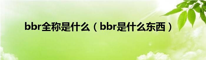 bbr全称是什么（bbr是什么东西）