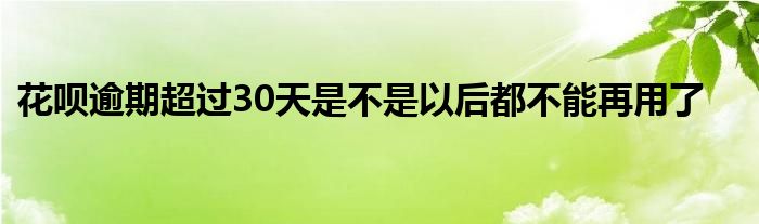 花呗逾期超过30天是不是以后都不能再用了