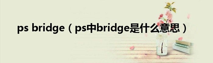 ps bridge（ps中bridge是什么意思）