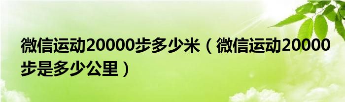 微信运动20000步多少米（微信运动20000步是多少公里）