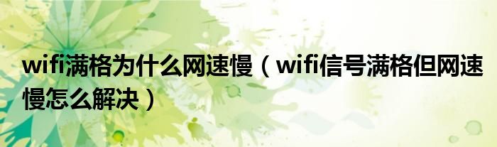 wifi满格为什么网速慢（wifi信号满格但网速慢怎么解决）