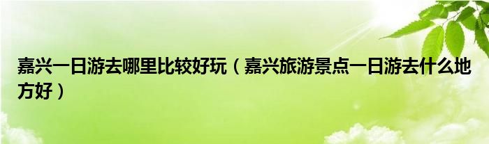 嘉兴一日游去哪里比较好玩（嘉兴旅游景点一日游去什么地方好）