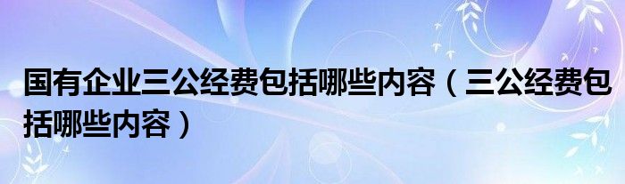 国有企业三公经费包括哪些内容（三公经费包括哪些内容）