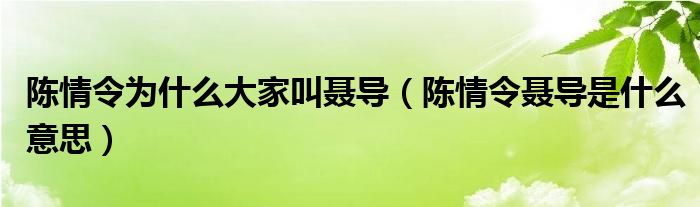 陈情令为什么大家叫聂导（陈情令聂导是什么意思）