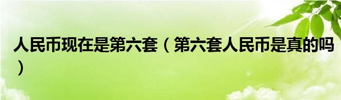 人民币现在是第六套（第六套人民币是真的吗）