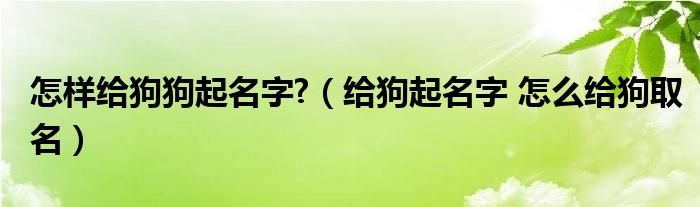 怎样给狗狗起名字?（给狗起名字 怎么给狗取名）