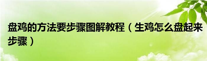 盘鸡的方法要步骤图解教程（生鸡怎么盘起来步骤）