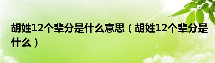 胡姓12个辈分是什么意思（胡姓12个辈分是什么）