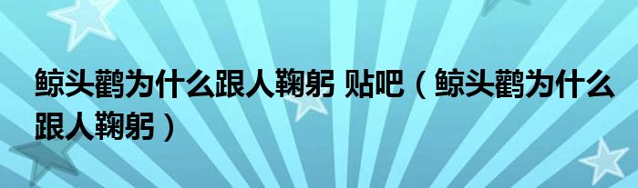 鲸头鹳为什么跟人鞠躬 贴吧（鲸头鹳为什么跟人鞠躬）