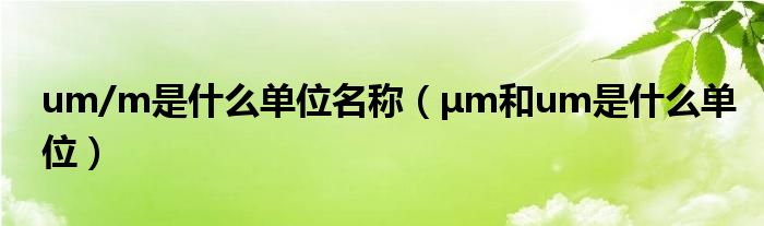 um/m是什么单位名称（μm和um是什么单位）