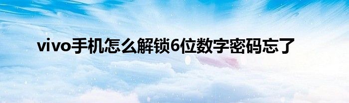 vivo手机怎么解锁6位数字密码忘了