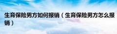 生育保险男方如何报销（生育保险男方怎么报销）