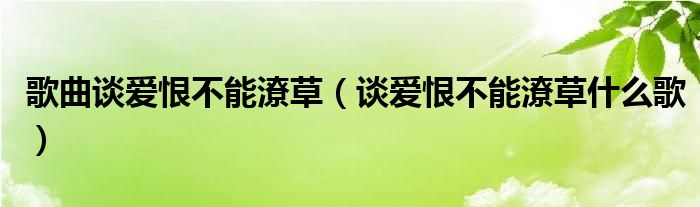 歌曲谈爱恨不能潦草（谈爱恨不能潦草什么歌）