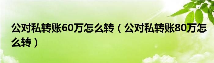 公对私转账60万怎么转（公对私转账80万怎么转）