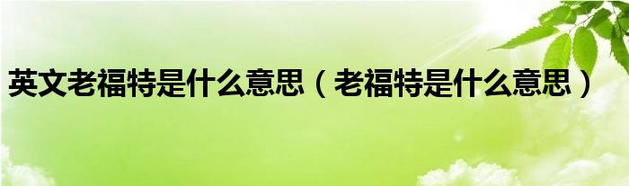 英文老福特是什么意思（老福特是什么意思）