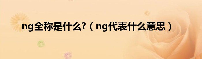 ng全称是什么?（ng代表什么意思）