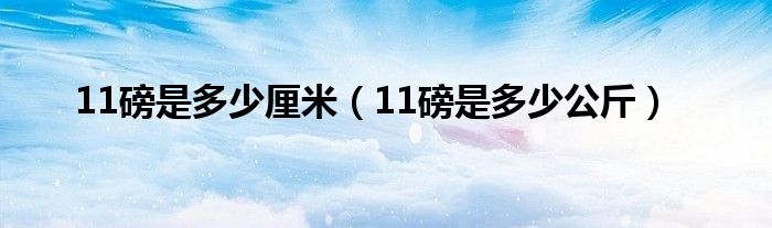 11磅是多少厘米（11磅是多少公斤）