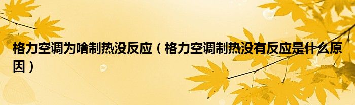 格力空调为啥制热没反应（格力空调制热没有反应是什么原因）