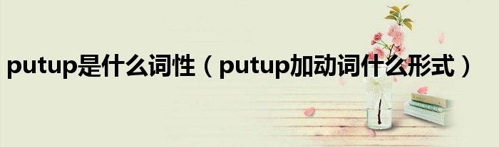 putup是什么词性（putup加动词什么形式）