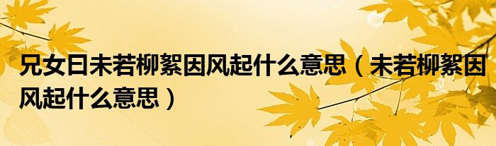 兄女曰未若柳絮因风起什么意思（未若柳絮因风起什么意思）