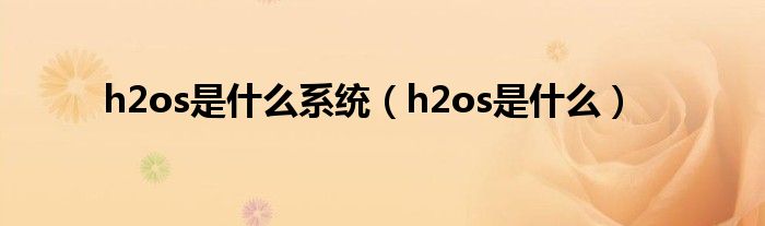 h2os是什么系统（h2os是什么）