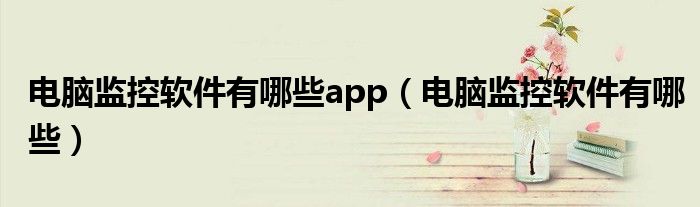 电脑监控软件有哪些app（电脑监控软件有哪些）