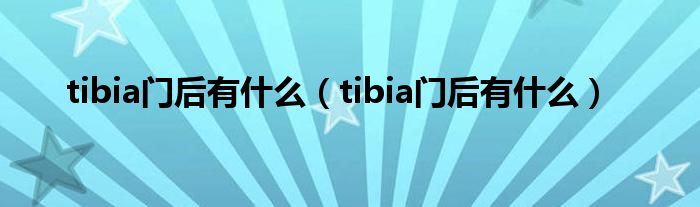 tibia门后有什么（tibia门后有什么）