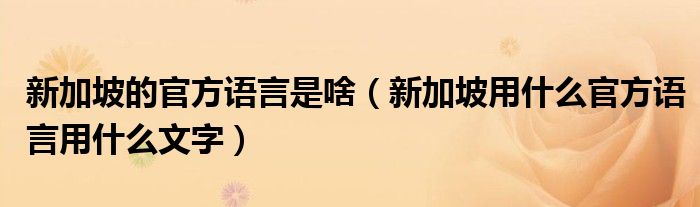 新加坡的官方语言是啥（新加坡用什么官方语言用什么文字）