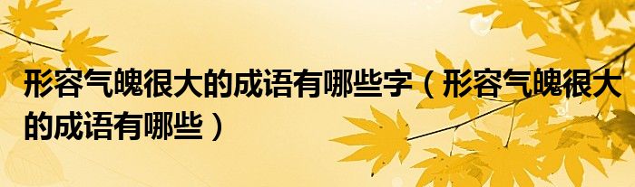 形容气魄很大的成语有哪些字（形容气魄很大的成语有哪些）