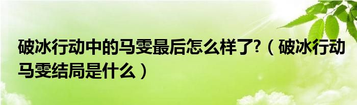 破冰行动中的马雯最后怎么样了?（破冰行动马雯结局是什么）