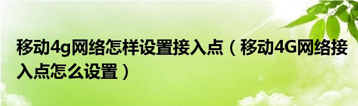 移动4g网络怎样设置接入点（移动4G网络接入点怎么设置）