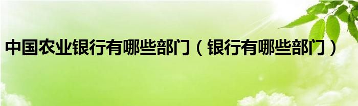 中国农业银行有哪些部门（银行有哪些部门）