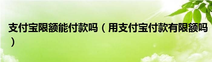 支付宝限额能付款吗（用支付宝付款有限额吗）