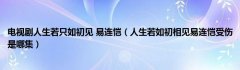 电视剧人生若只如初见 易连恺（人生若如初相见易连恺受伤是哪集）