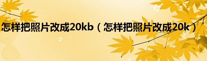 怎样把照片改成20kb（怎样把照片改成20k）