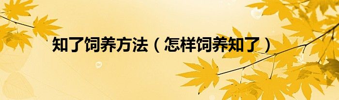 知了饲养方法（怎样饲养知了）