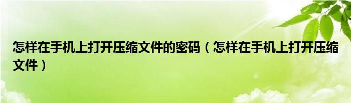 怎样在手机上打开压缩文件的密码（怎样在手机上打开压缩文件）