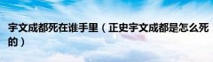 宇文成都死在谁手里（正史宇文成都是怎么死的）