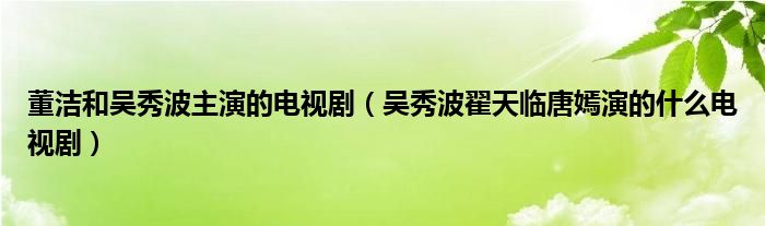 董洁和吴秀波主演的电视剧（吴秀波翟天临唐嫣演的什么电视剧）