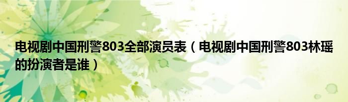 电视剧中国刑警803全部演员表（电视剧中国刑警803林瑶的扮演者是谁）