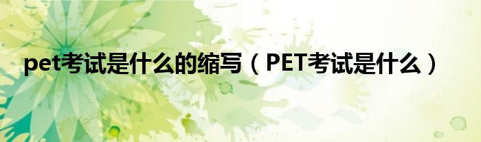 pet考试是什么的缩写（PET考试是什么）