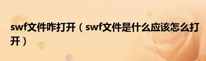 swf文件咋打开（swf文件是什么应该怎么打开）