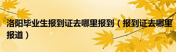 洛阳毕业生报到证去哪里报到（报到证去哪里报道）