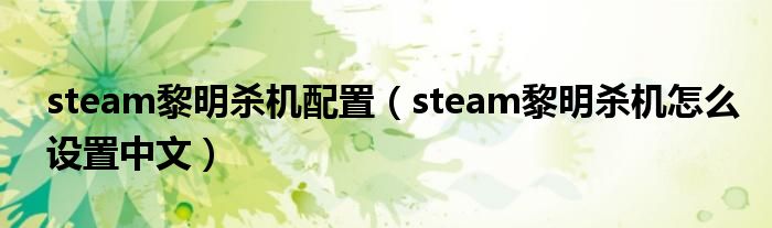 steam黎明杀机配置（steam黎明杀机怎么设置中文）